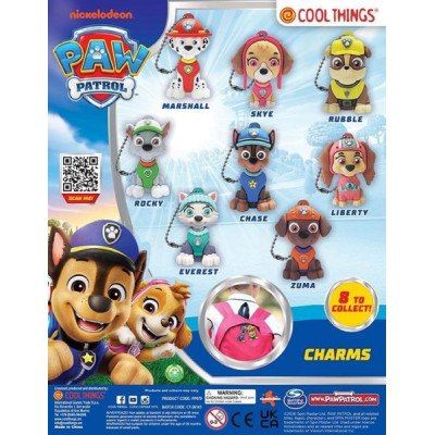 PAW PATROL CHARMS COIN BANK