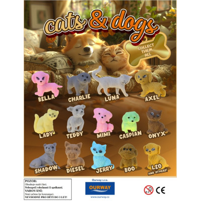KATS & DOGS