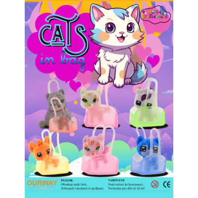 CATS IN BAG